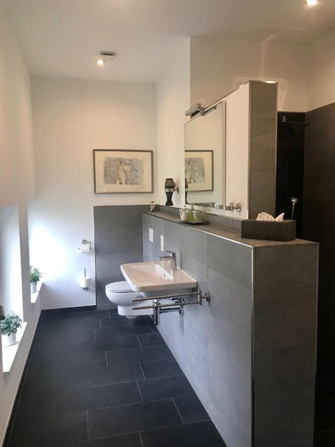 شقة Weinlofts An Der Mosel Mit E10 Ladestation Köwerich المظهر الخارجي الصورة